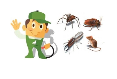 HAS TEMİZLİK HİZMETLERİ  ento&pest ilaçlama 