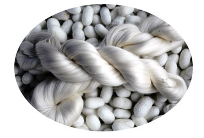 International Prosperous Trading Ltd.